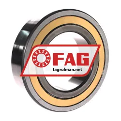 FAG NJ2219-E-XL-M1A-C3 rulman resim 2