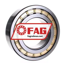FAG NUP2224-E-XL-M1-C3
