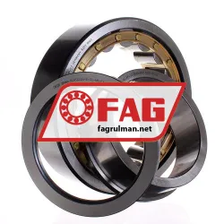 FAG NUP2224-E-XL-M1-C3 rulman resim 3