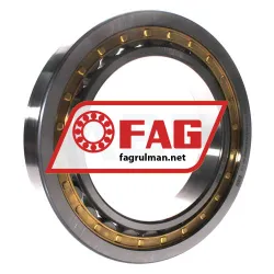 FAG NU1036-XL-M1A-C3