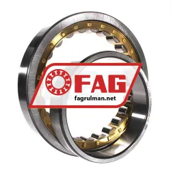 FAG NU1036-XL-M1A-C3 rulman resim 2