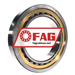 FAG NU1036-XL-M1A-C3 rulman resim 3