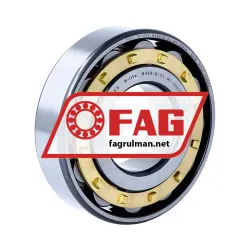 FAG N308-E-XL-M1
