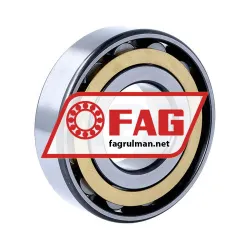 FAG N308-E-XL-M1 rulman resim 2