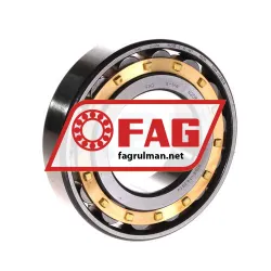 FAG N208-E-XL-M1