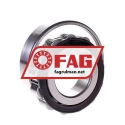 FAG N309-E-XL-TVP2 rulman resim 2