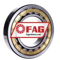 FAG NU222-E-XL-M1-C4