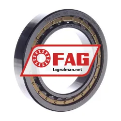 FAG NU1014-XL-M1