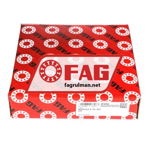 FAG NUP315-E-XL-M1-C3 ürün fotoğrafı 4