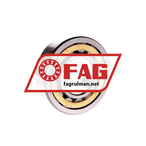 FAG NU309-E-XL-M1-C3 ürün fotoğrafı 3