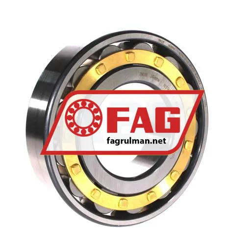 FAG NU219-E-XL-TVP2
