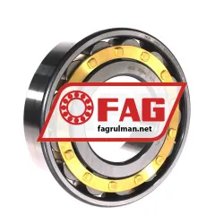 FAG NU219-E-XL-TVP2