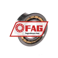 FAG NU1005-XL-M1