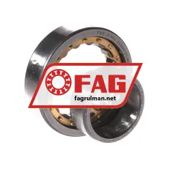 FAG NU1005-XL-M1 rulman resim 3