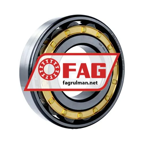 FAG N319-E-XL-M1