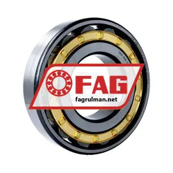 FAG N319-E-XL-M1