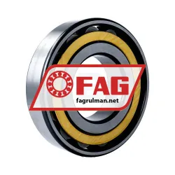 FAG N319-E-XL-M1 rulman resim 2