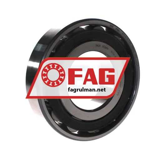 FAG N316-E-XL-TVP2