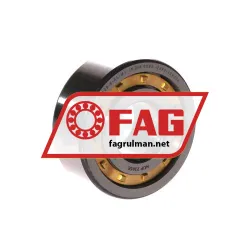 FAG NUP2305-E-XL-M1