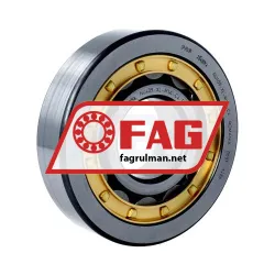 FAG NU409-XL-M1A-C4