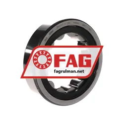 FAG RNU313-E-XL-TVP2