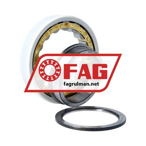 FAG NUP214-E-XL-M1-F1-J20AA-C4