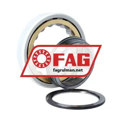 FAG NUP214-E-XL-M1-F1-J20AA-C4 rulman resim 2