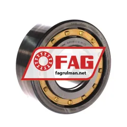 FAG NUP2310-E-XL-M1-C3