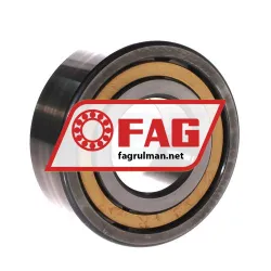 FAG NUP2310-E-XL-M1-C3 rulman resim 2
