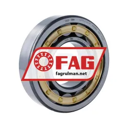 FAG NJ313-E-XL-M1
