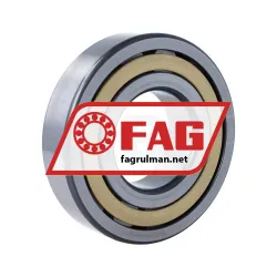 FAG NJ313-E-XL-M1 rulman resim 2