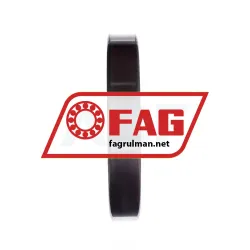 FAG NU1024-XL-M1 rulman resim 4