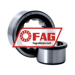FAG NJ2311-E-XL-TVP2-C3 rulman resim 3