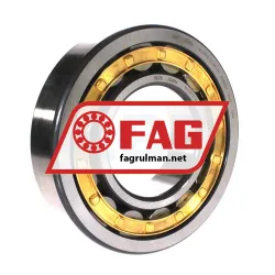FAG NU319-E-XL-M1-C4