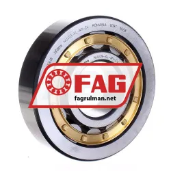 FAG NU409-XL-M1-C4