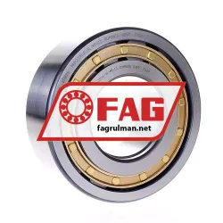 FAG NUP2315-E-XL-M1-C3