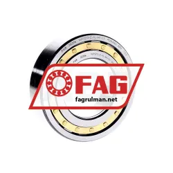 FAG NUP2213-E-XL-M1-C3