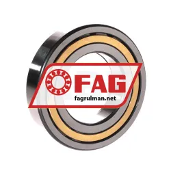 FAG NUP211-E-XL-M1
