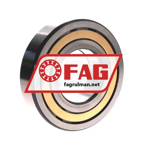 FAG NUP314-E-XL-M1-F1-C4