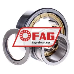 FAG NUP2311-E-XL-M1-C3 rulman resim 2