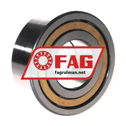 FAG NUP2311-E-XL-M1-C3 rulman resim 3