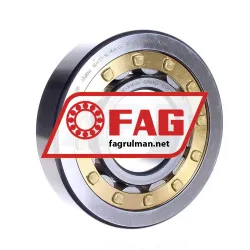 FAG NU413-XL-M1A-C4