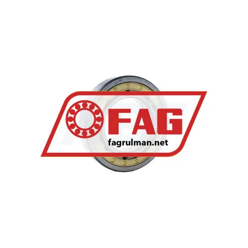 FAG NJ220-E-XL-M1A-C4