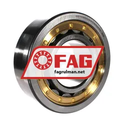 FAG NJ2322-E-XL-M1A-QP51-C3