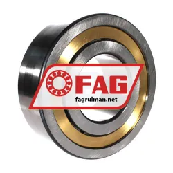 FAG NJ2322-E-XL-M1A-QP51-C3 rulman resim 3