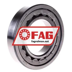 FAG NJ213E-JP1-C3