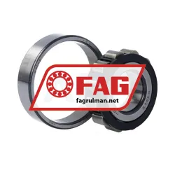 FAG N306E-TVP2 rulman resim 4