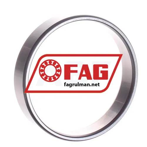 FAG LN209E