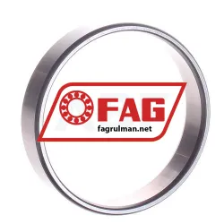 FAG LN209E