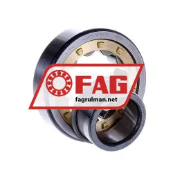FAG NJ305E-M1A-C4 rulman resim 2